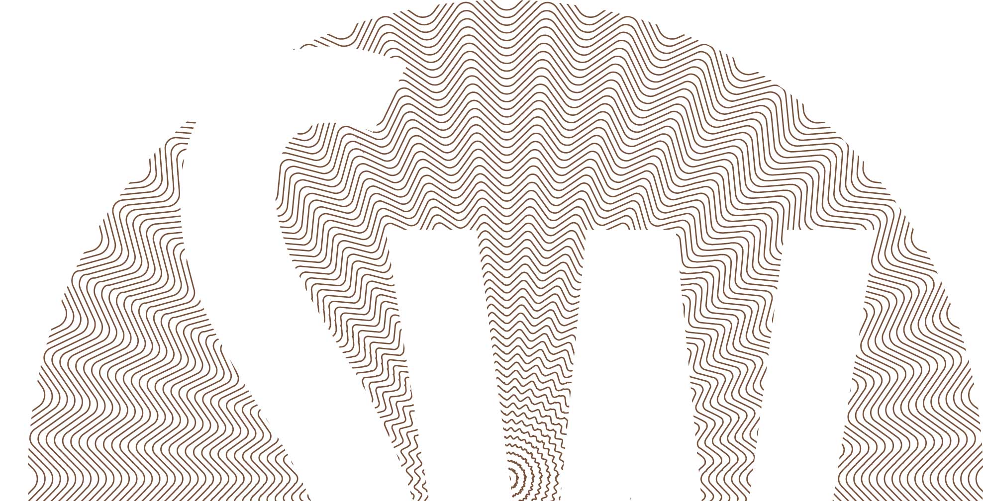 sachnoff-and-weaver_symbol_engraved_closeup.jpg Art Direction by: Bart Crosby, Crosby Associates